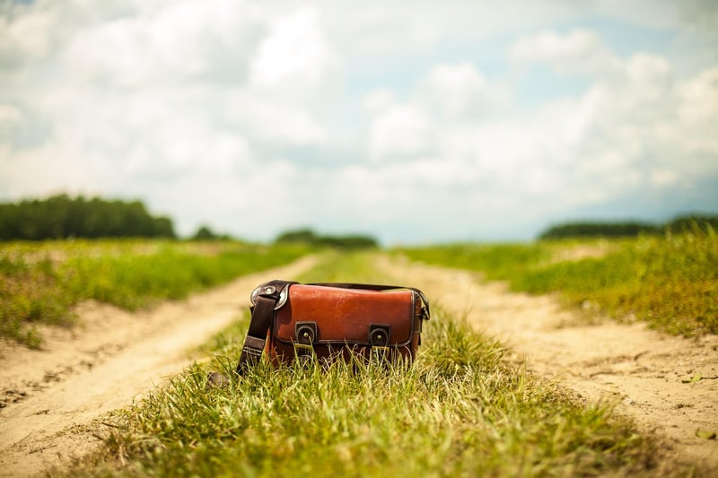 Cork Handbag